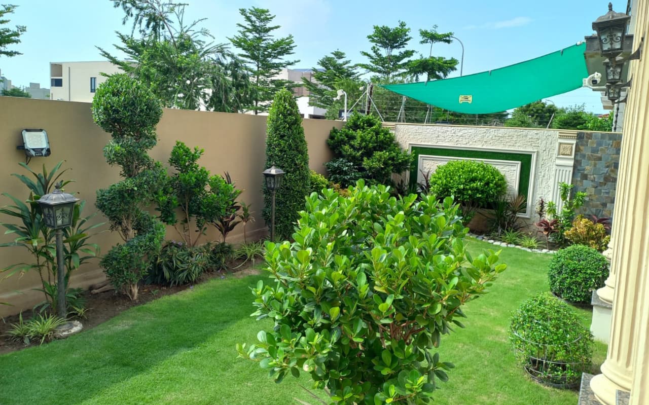 WhatsApp Image 2025-12-02 at 3.48.00 AM